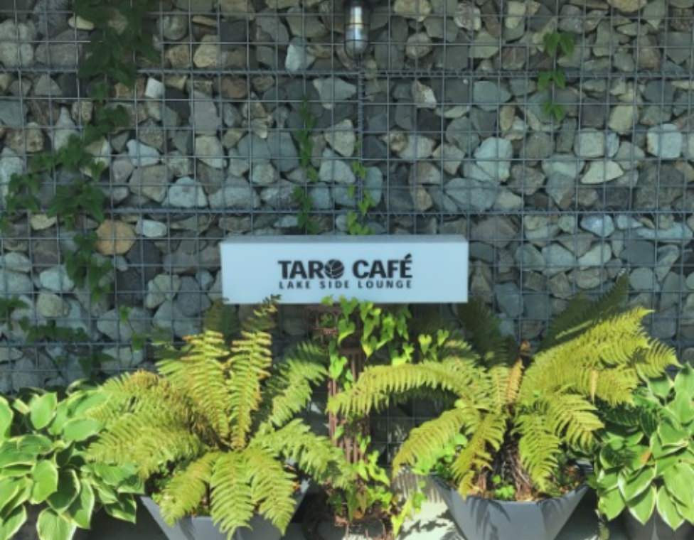 TARO CAFE