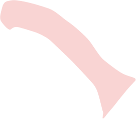 エキサイト2