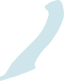 フォレスト3
