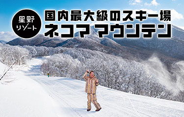 新CM「ピコ太郎がスキー場を合体？！」