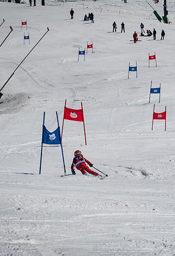 ネコマ マウンテン年代別GSスキー選手権2024