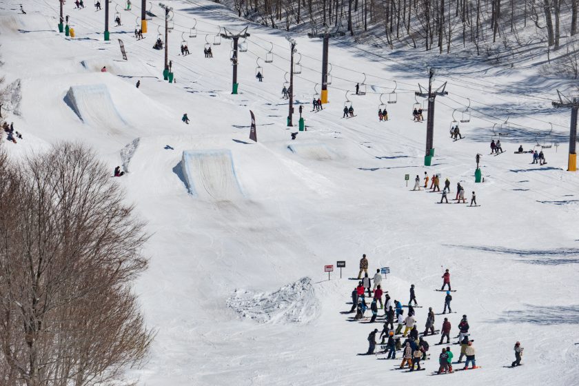 パークイメージ1