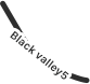 ブラックバレー５