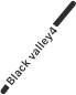 ブラックバレー４