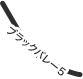 ブラックバレー５